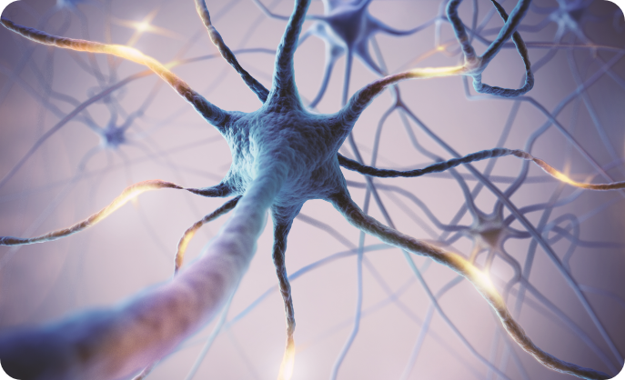 소아신경질환 관련 신경세포 이미지